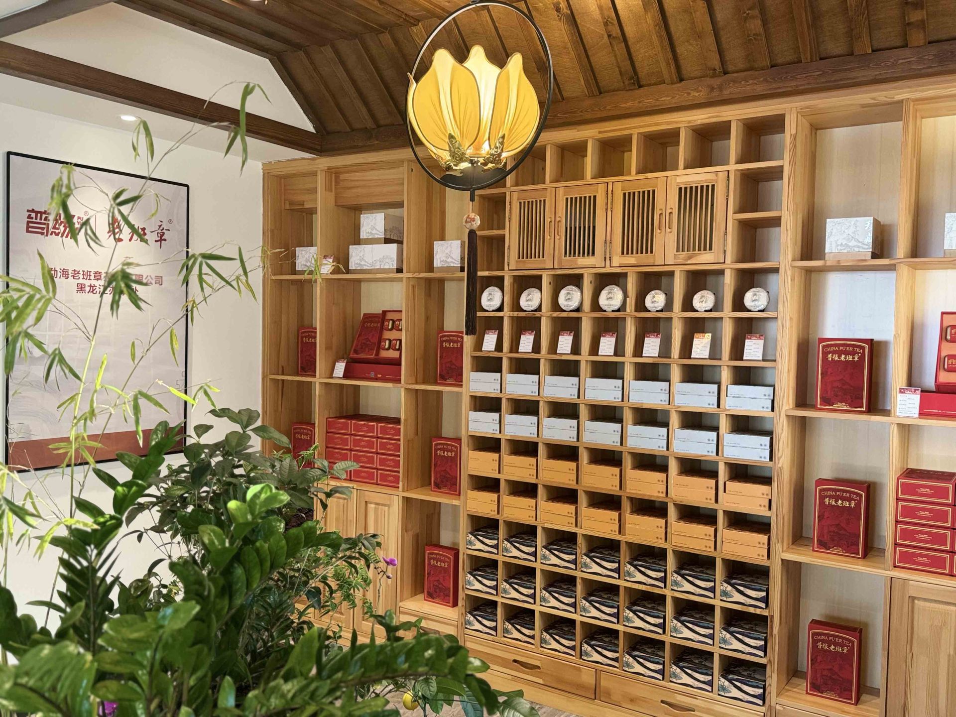 熱烈慶祝勐海老班章茶業(yè)有限公司黑龍江省辦事處掛牌運營 暨老班章主題會所投入使用